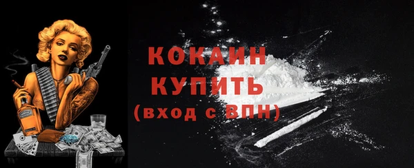 тгк Абаза