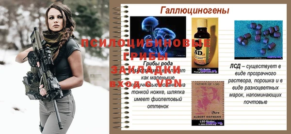 тгк Абаза
