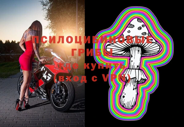 apvp Абинск